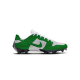 Low Dunk Football Cleats